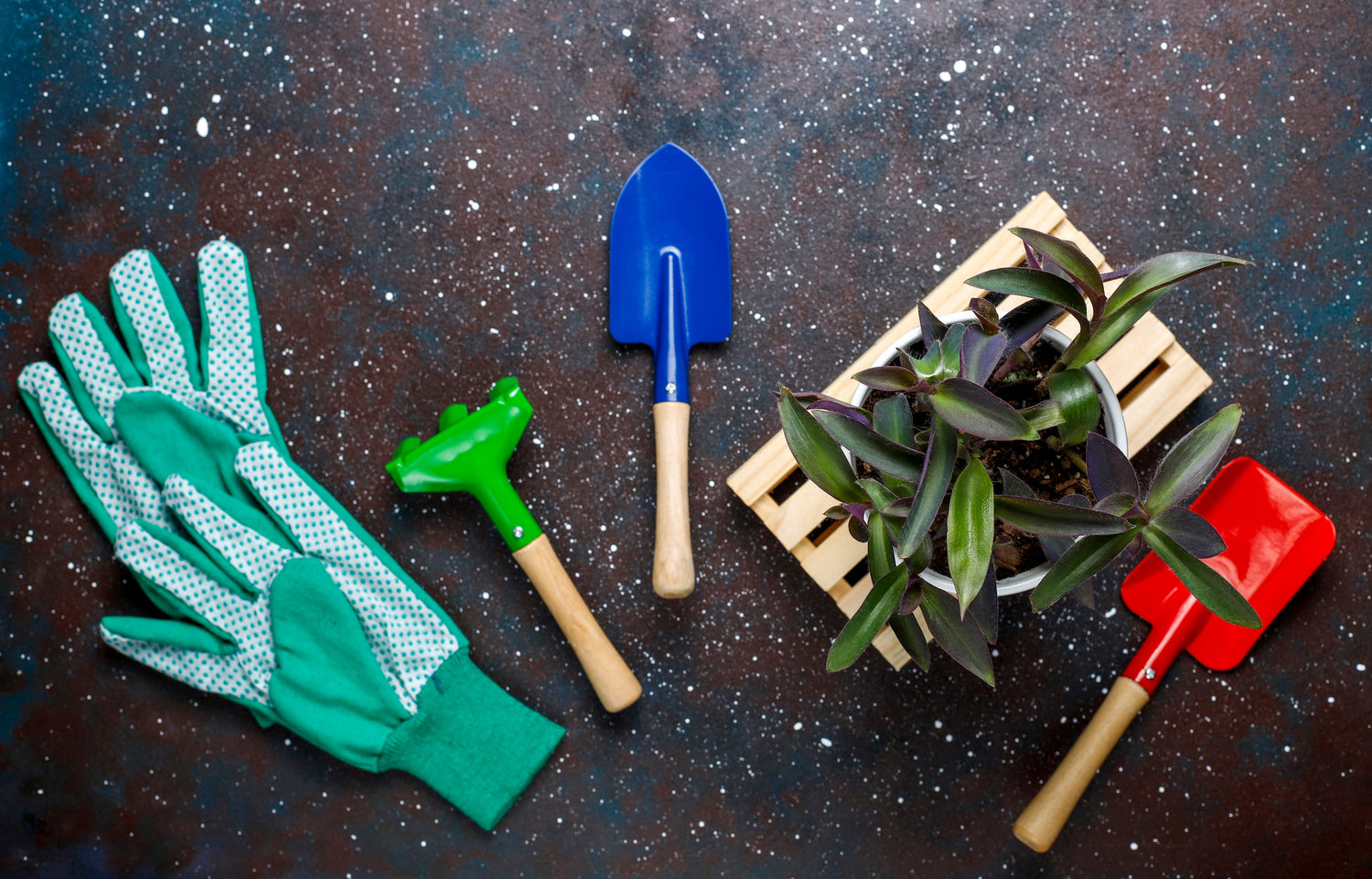 Garden Tools