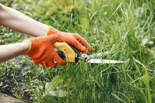 Garden Grass Cutter Scissor